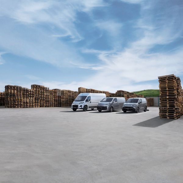 Toyota professional range