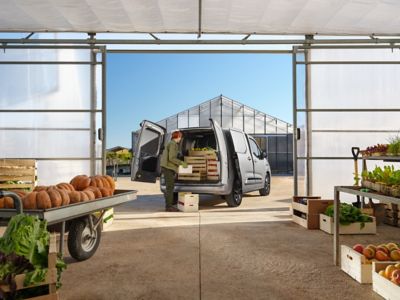 Proace van
