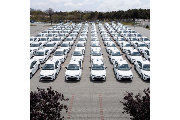 Toyoty Corolle we flocie firmy ERES
