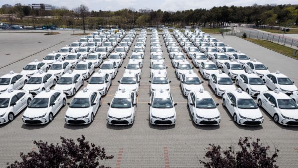 Toyoty Corolle we flocie firmy ERES