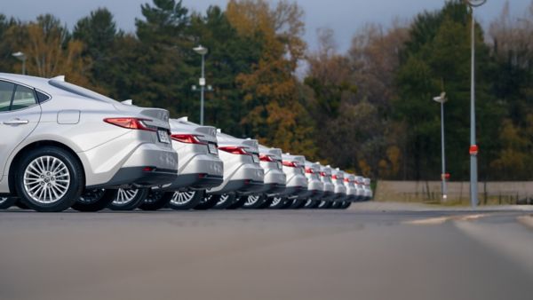 Flota Toyot Corolla zaparkowana tle drzew