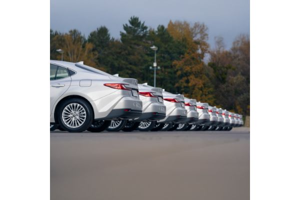 Flota Toyot Corolla zaparkowana tle drzew