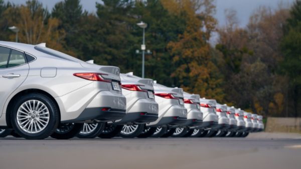 Flota Toyot Corolla zaparkowana tle drzew