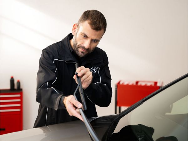 Parbriz si stergatoare parbriz