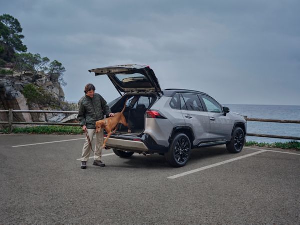 Toyota RAV4 Plug-in