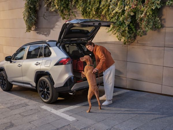 TOY_SEASONAL_2024_HUB_VLV_IMG_KV_SUMMER_WET-WINTER_RAV4_Dog_City-1
