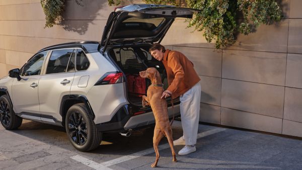 TOY_SEASONAL_2024_HUB_VLV_IMG_KV_SUMMER_WET-WINTER_RAV4_Dog_City-2