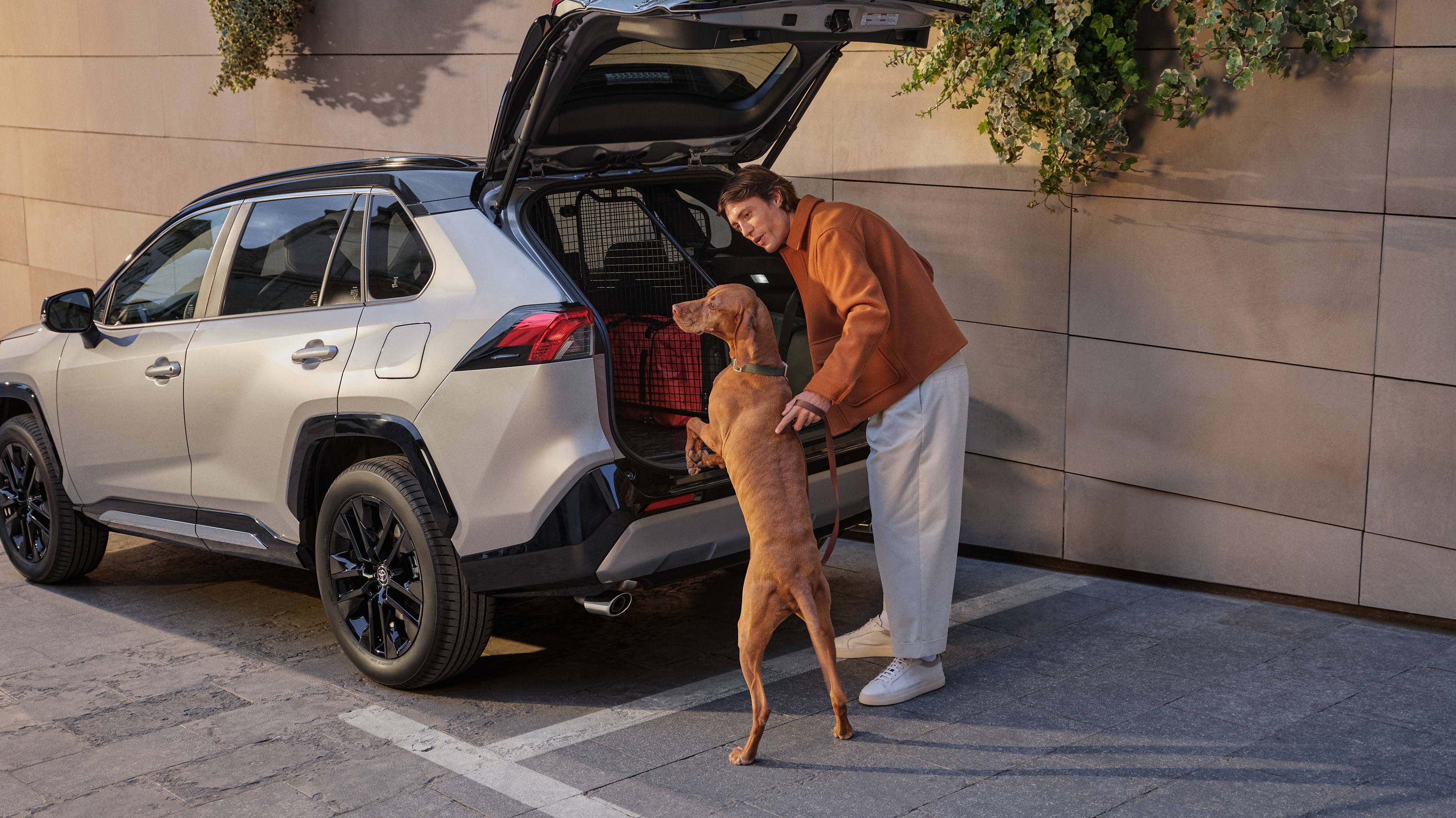 Lo spazioso bagagliaio del RAV4, grande abbastanza da ospitare un cane