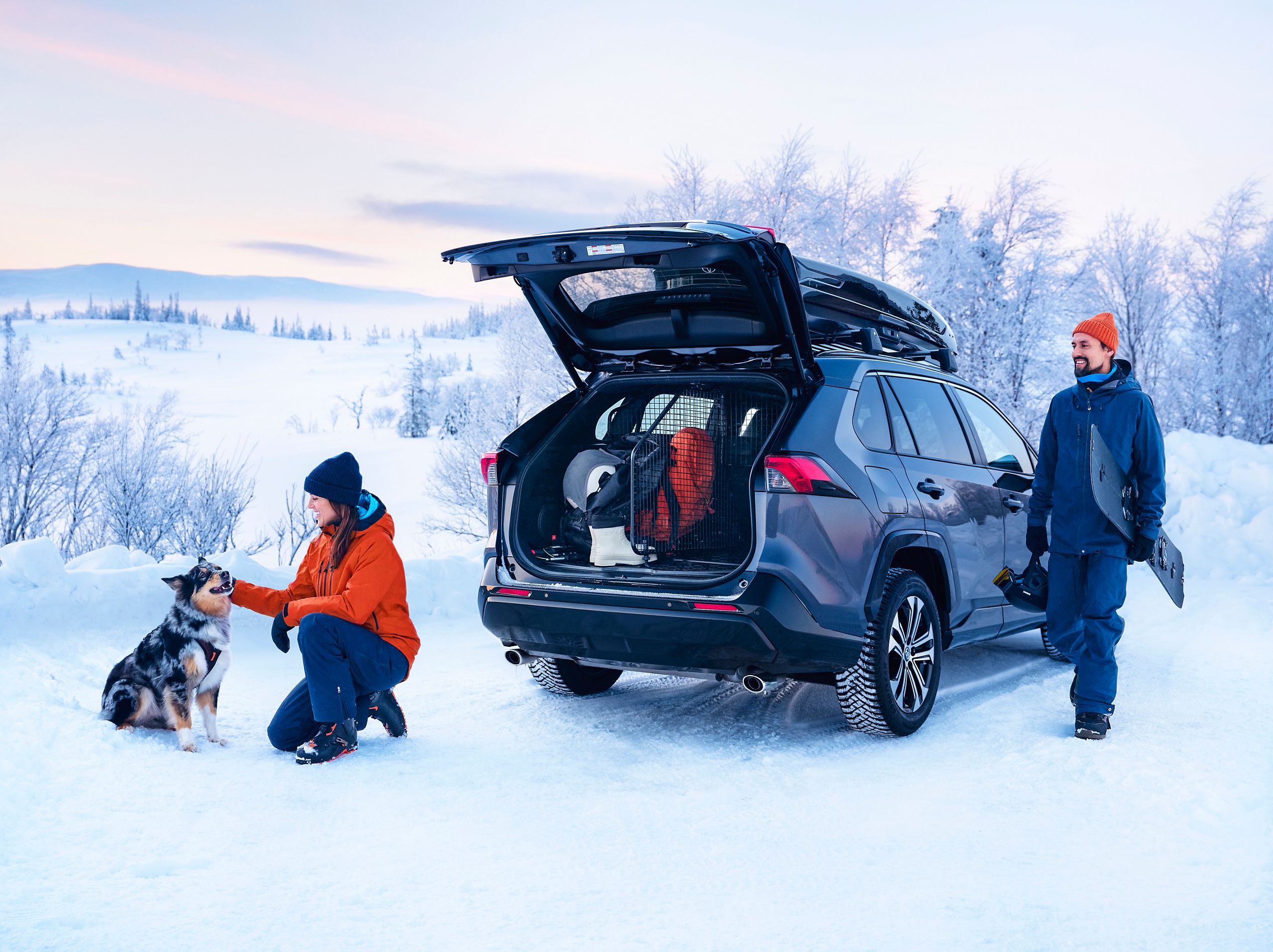 TOY_SEASONAL_2024_HUB_VLV_IMG_KV_WINTER_RAV4-PHEV_Dog-Guard_01_flat