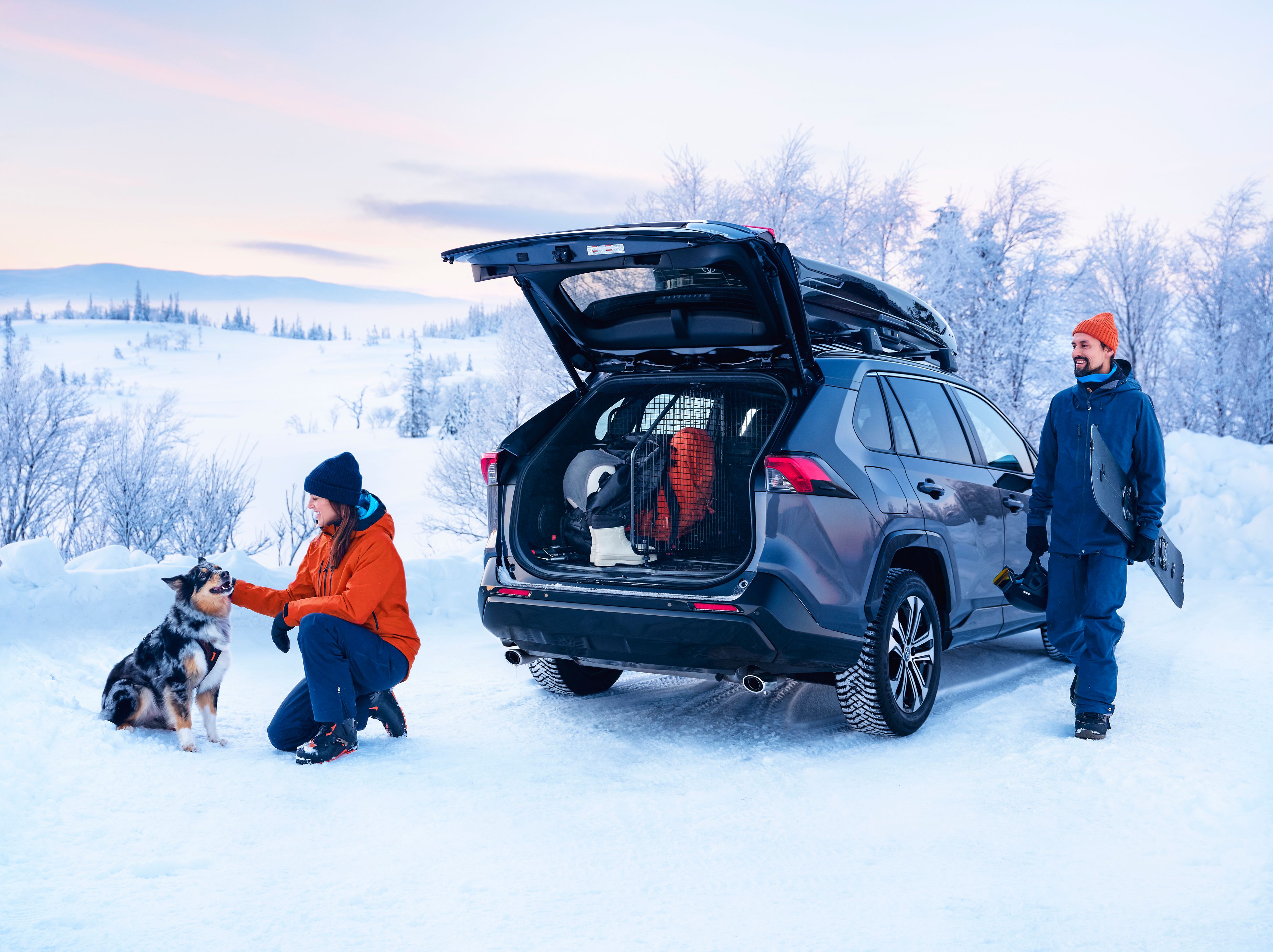 TOY_SEASONAL_2024_HUB_VLV_IMG_KV_WINTER_RAV4-PHEV_Dog-Guard_01_flat