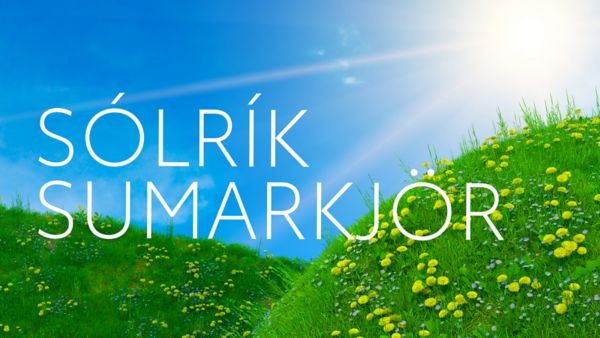 Sólrík sumarkjör, blómleg grasbrekka og sól