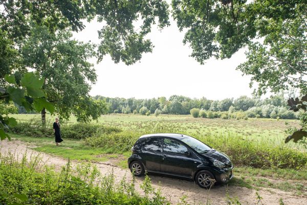 Toyota, Aygo, exterieur, uitzicht, bomen, groen