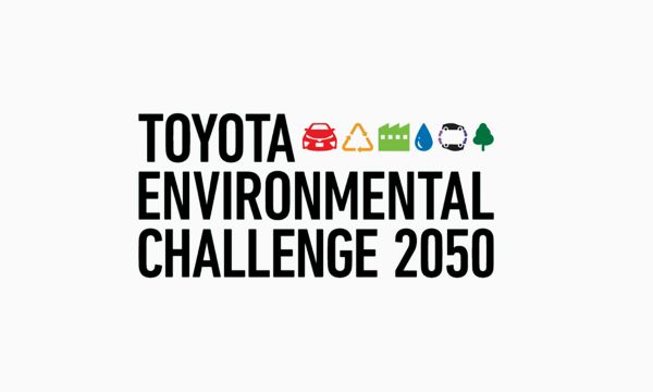 Environmental Challenge