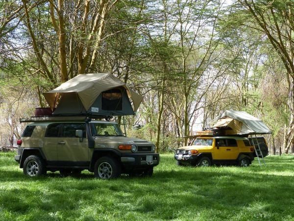 Toyota, FJ, Cruiser, kanariegele, cruiser