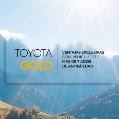 Toyota Gold