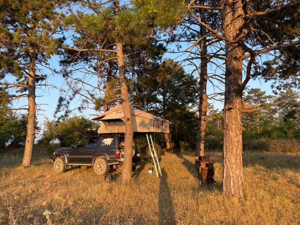 Toyota, Land Cruiser, exterieur, zijkant, bos