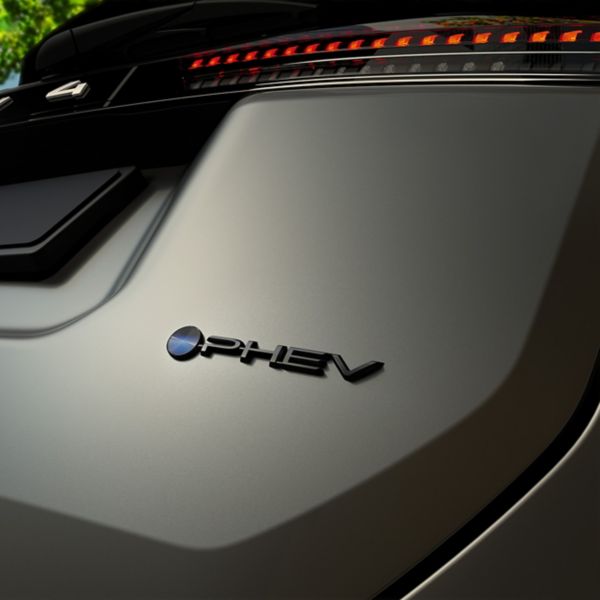 Toyota, RAV4, exterieur, embleem 