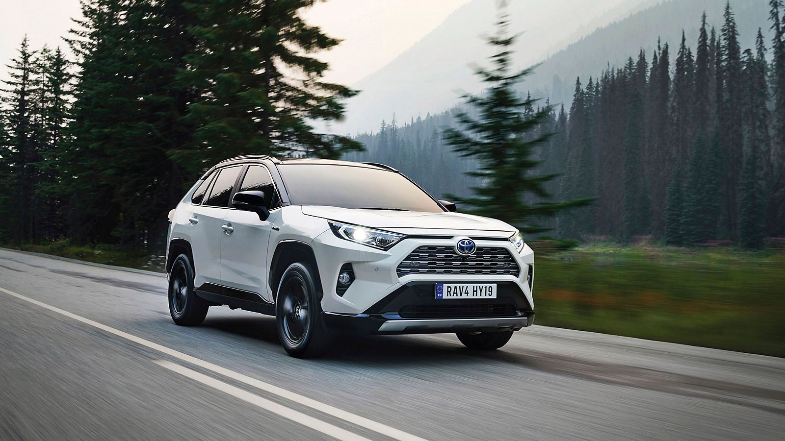 Toyota RAV4, exterieur, rechtsvoor, wit