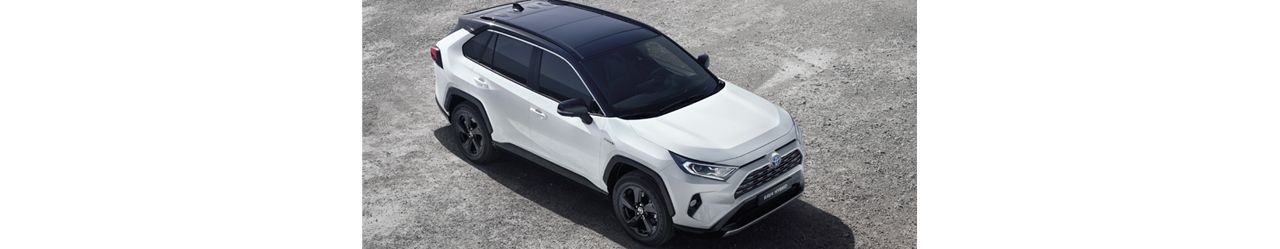 Lo que significa RAV4 en español