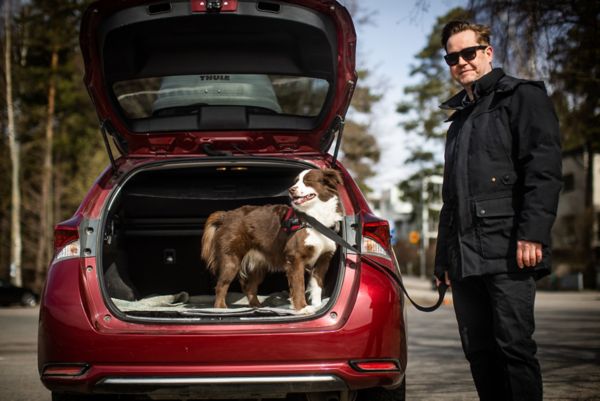 Toni Nordström, Taimi-koira ja Toyota Auris