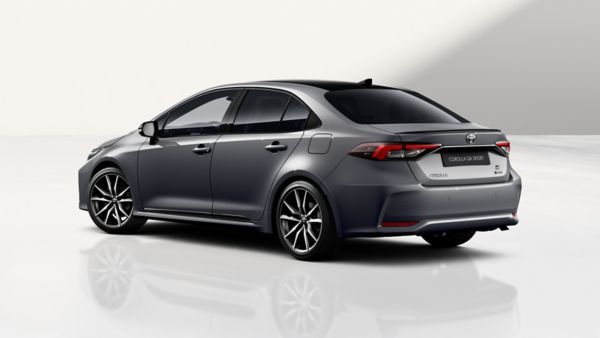 Corolla TS tył samochodu