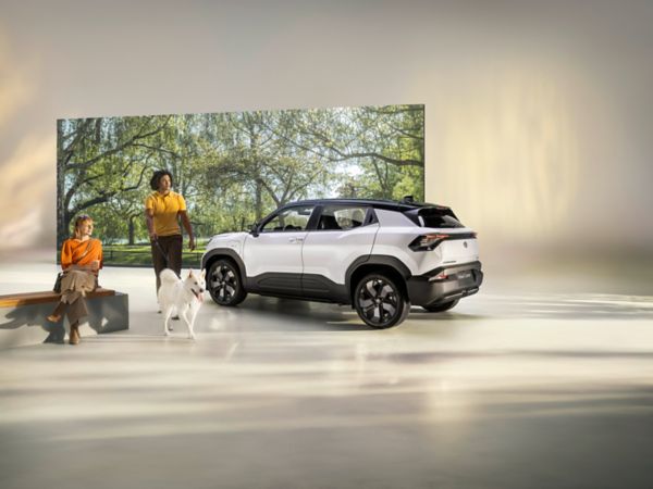 A couple and their dog relax with their Toyota Urban Cruiser at the park.