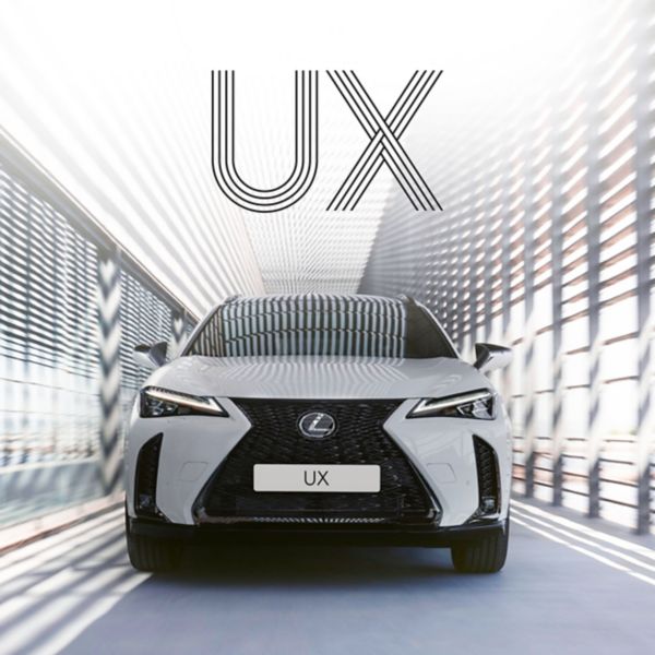 UX-31
