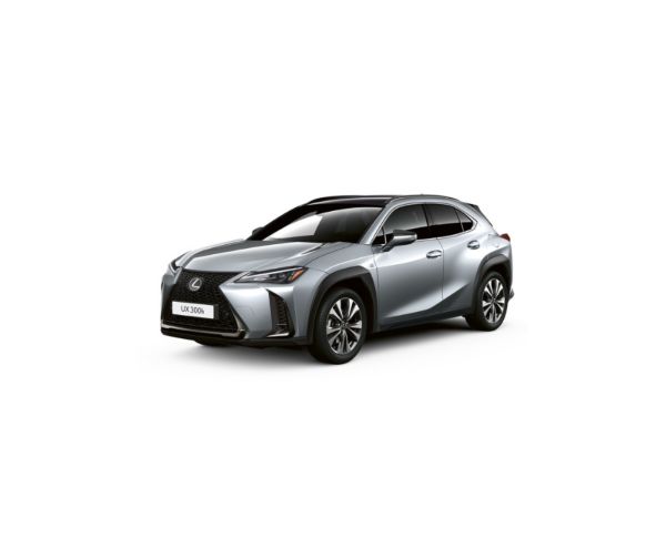 UX 300h 2.0 Hybrid Style
