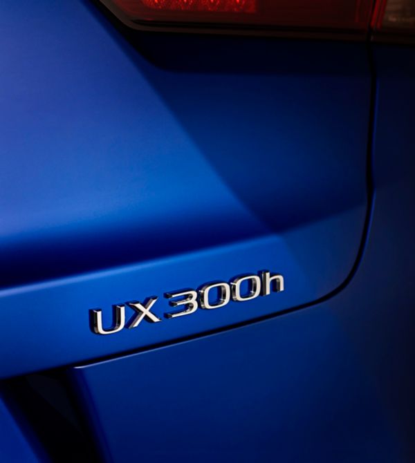 ux 300h