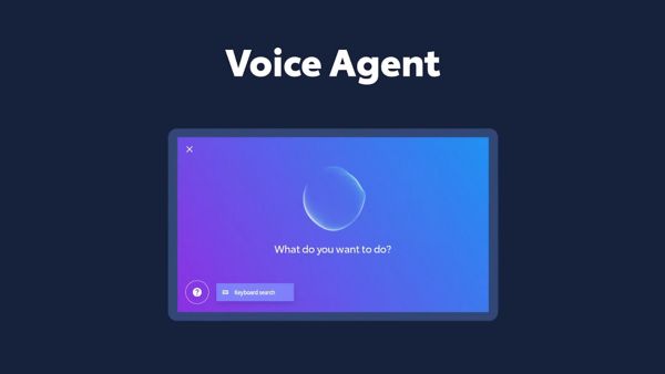 Voice Agent