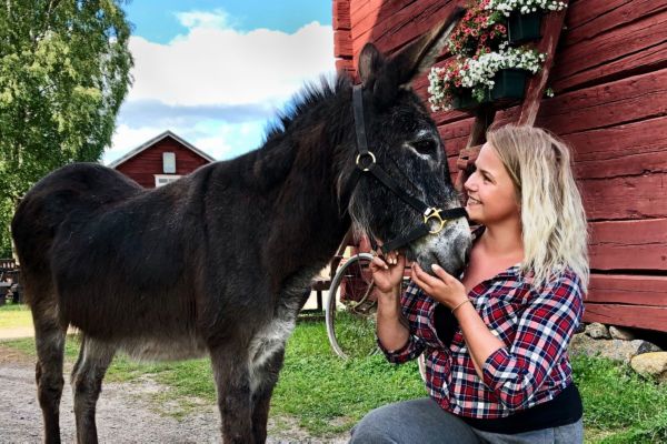 Eläinten vanhainkoti Wanha Markki Ylistarolla