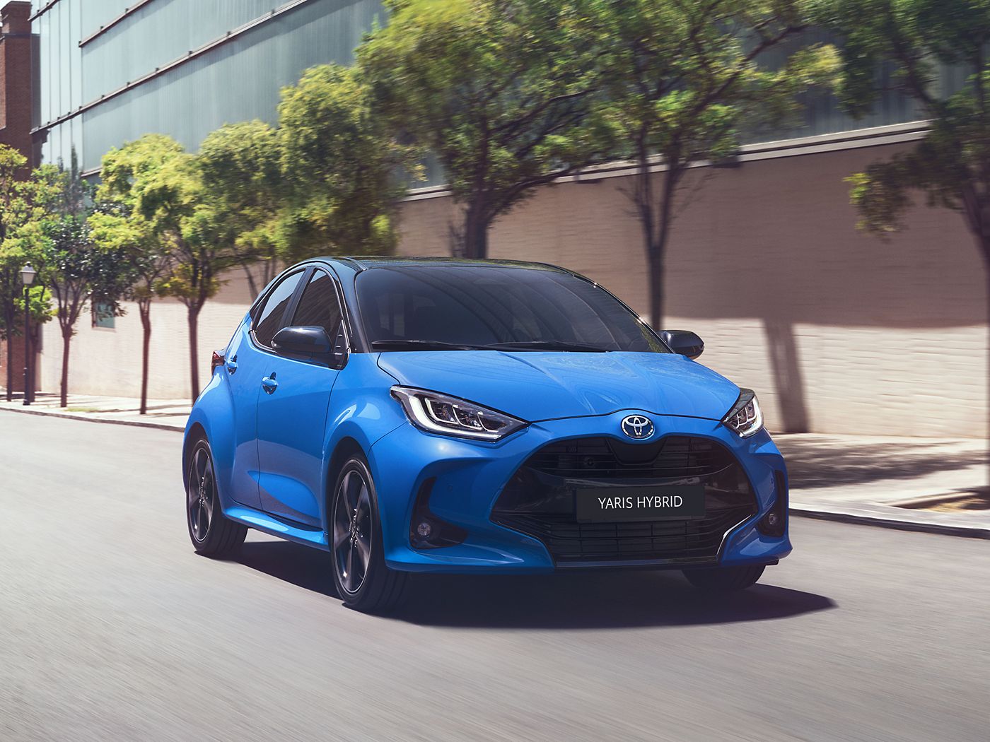 Yaris Hybrid ağaçlı yolda ilerliyor