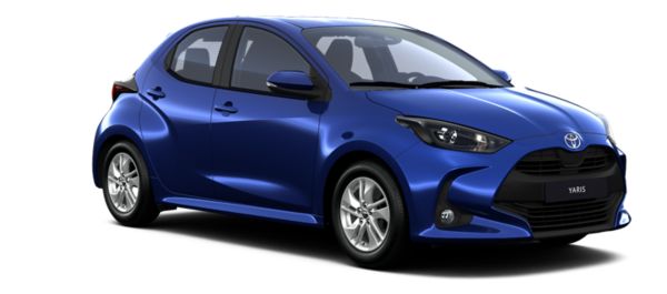 Синя хвойна YARIS