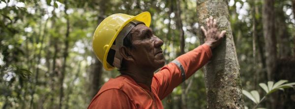 amazzonia-forest-main