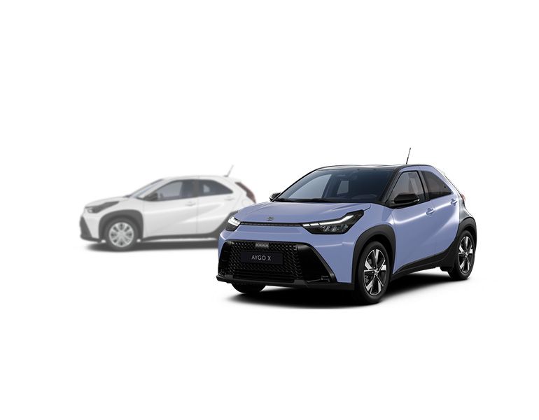 bZ4x Teamplayer Edition