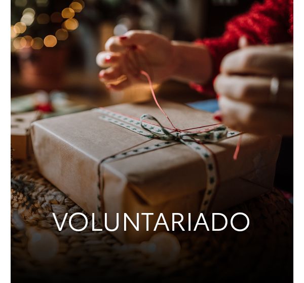 banner-voluntariado