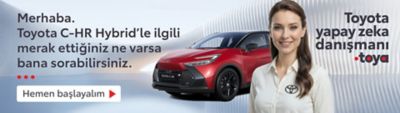 Toyota kampanya banner