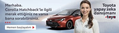 Toyota kampanya banner