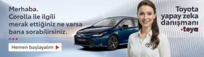 Toyota kampanya banner