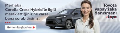 Toyota kampanya banner