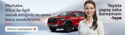 Toyota kampanya banner
