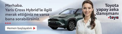 Toyota kampanya banner