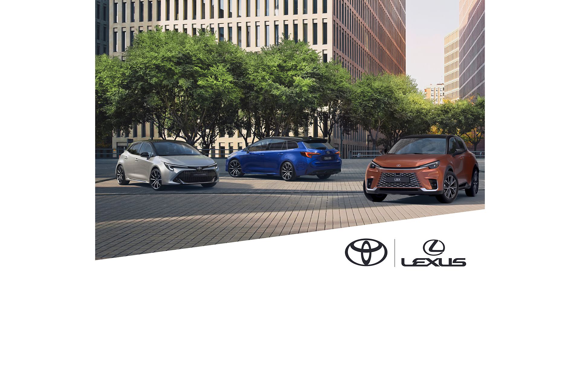 Toyota professional range