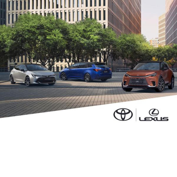 Toyota professional range