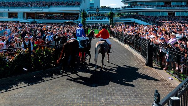 caballos longines