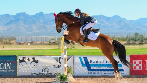 caballos longines