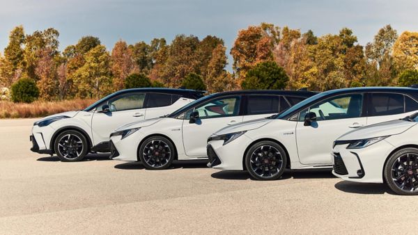 Coches de montaña