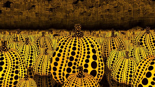 Por amor a una calabaza	