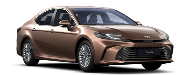 new-camry brochures