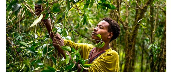 How are we working to protect the natural world?